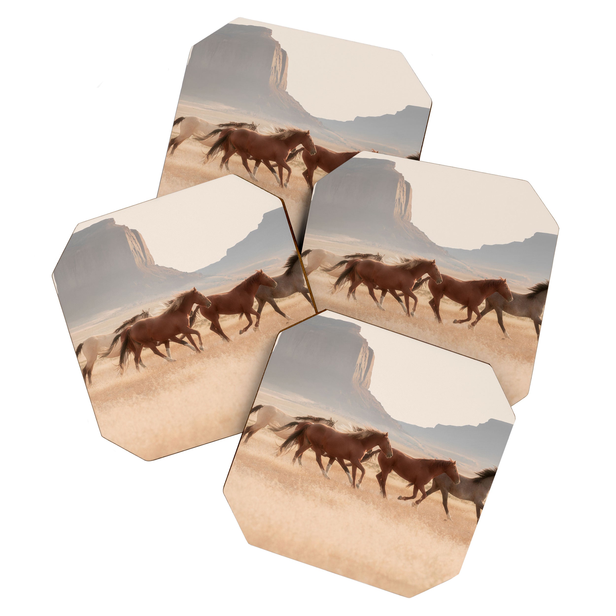 Southwest Horses Coaster Gallery Image 1