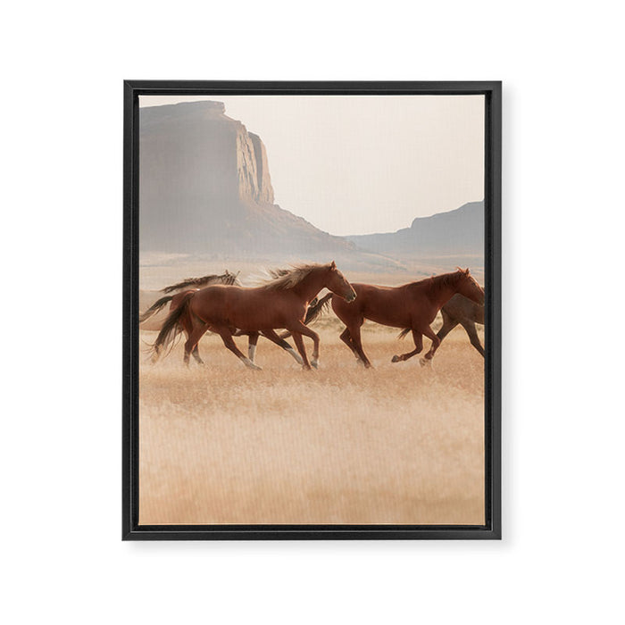 Southwest Horses Framed Canvas Print Gallery Image 1