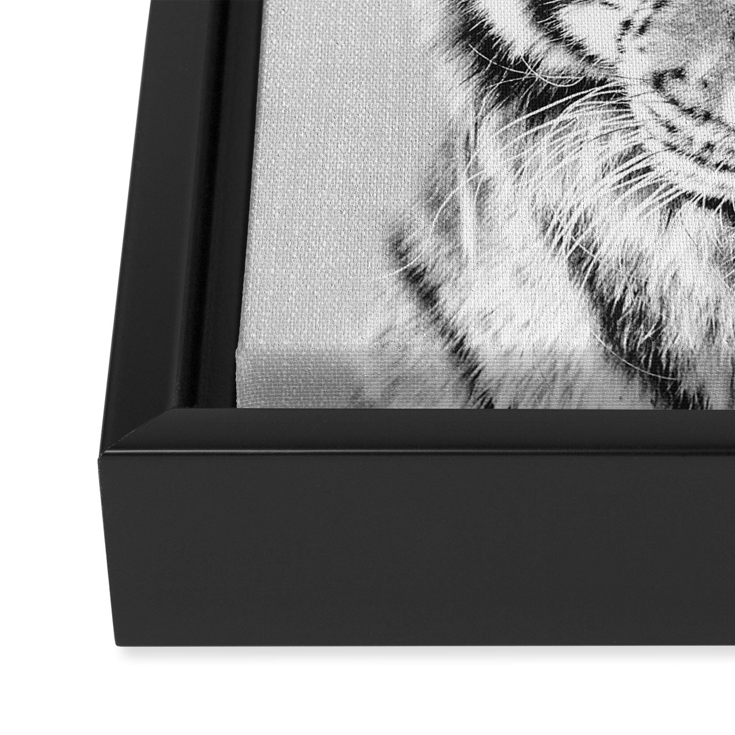Tiger - Black & White Framed Canvas Print Gallery Image 3