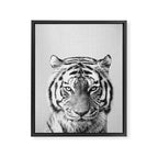 Tiger - Black & White Framed Canvas Print Gallery Image 8