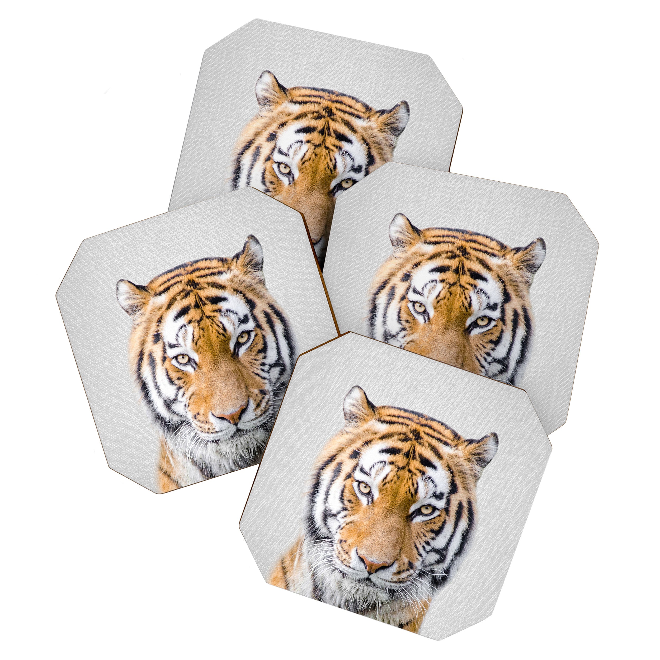 Tiger - Colorful Coaster Gallery Image 1