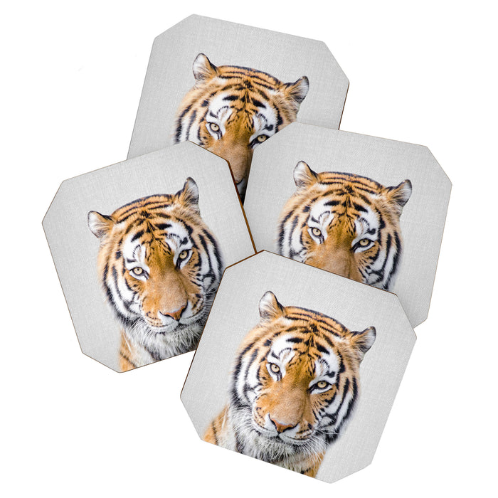 Tiger - Colorful Coaster Gallery Image 1