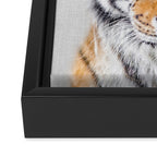 Tiger - Colorful Framed Canvas Print Gallery Image 3