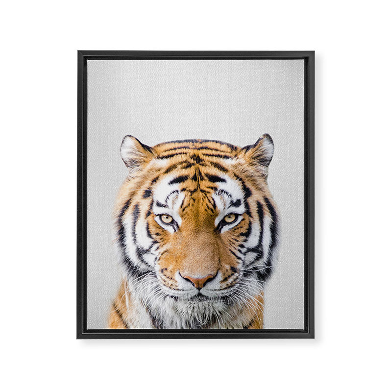 Tiger - Colorful Framed Canvas Print Gallery Image 8