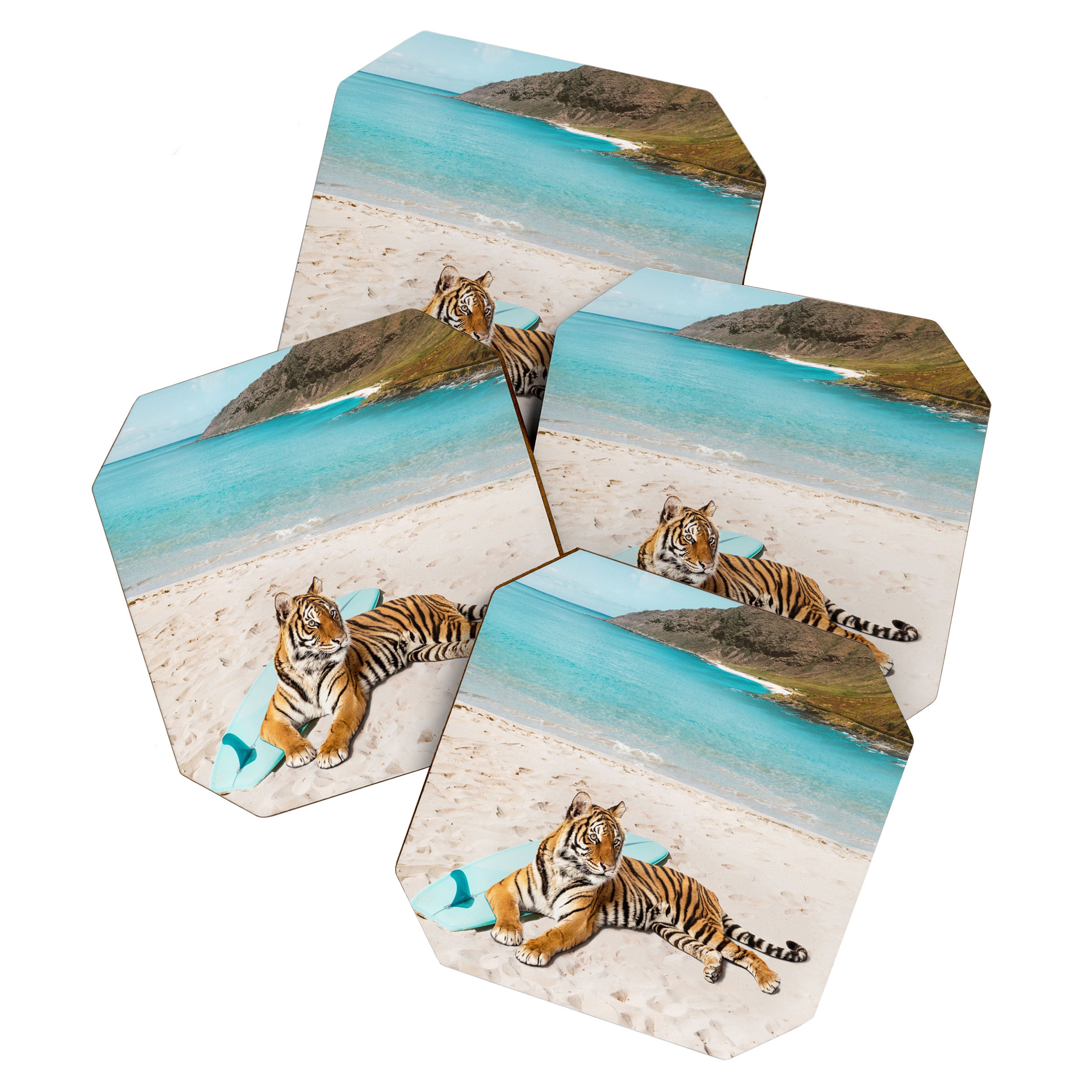 Tiger's Surf Beach Coaster Gallery Image 1