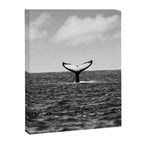 Whale Tail Canvas Print Gallery Image 6