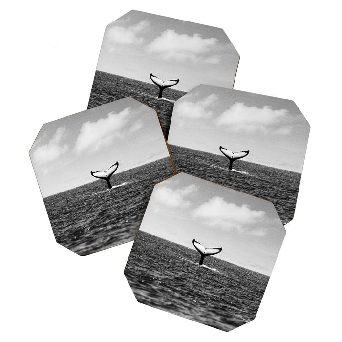Whale Tail Coaster Gallery Image 1