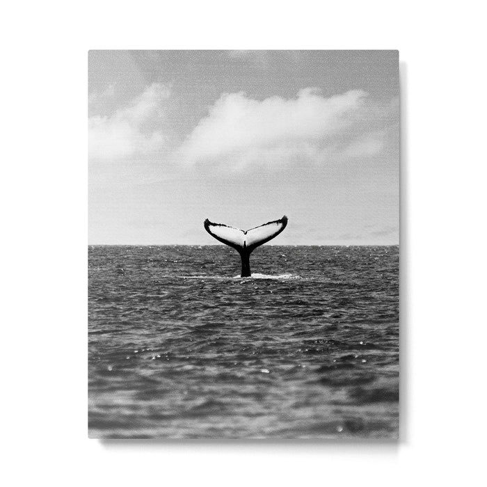 Whale Tail Metal Print Gallery Image 1