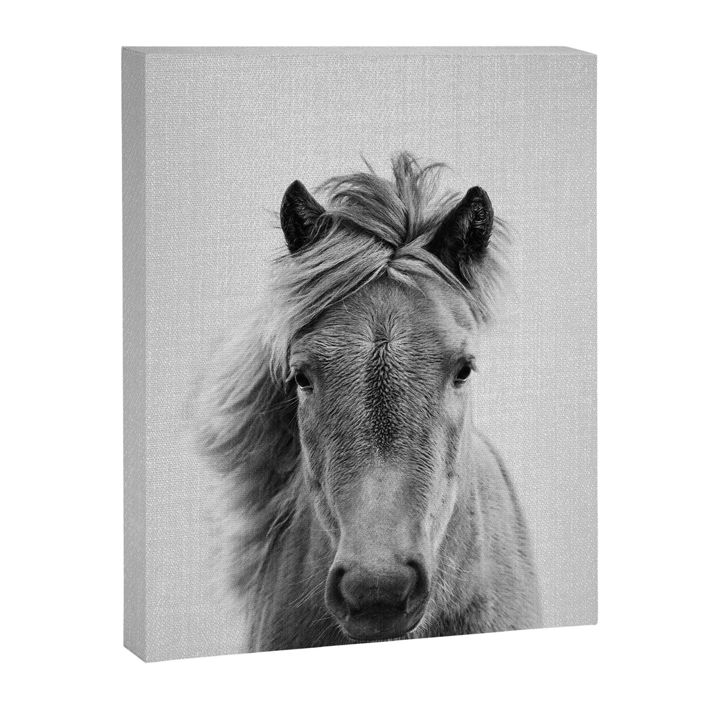 Wild Horse - Black & White Canvas Print Gallery Image 8