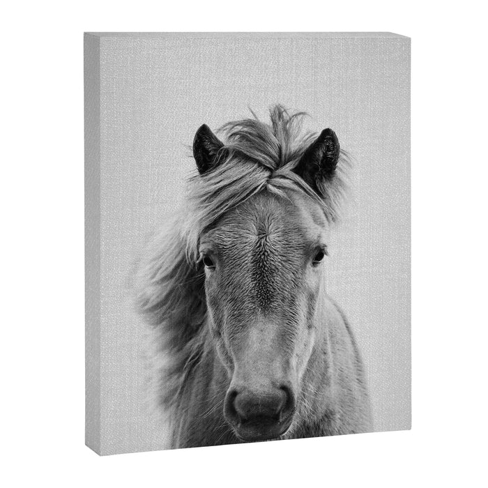 Wild Horse - Black & White Canvas Print Gallery Image 1