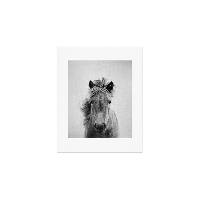 Wild Horse - Black & White Art Print Gallery Image 1