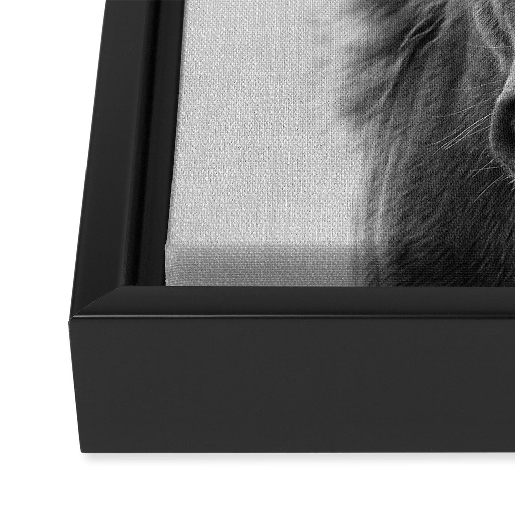 Wild Horse - Black & White Framed Canvas Print Gallery Image 3