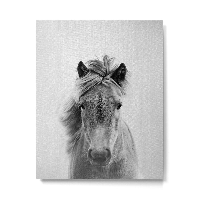 Wild Horse - Black & White Metal Print Gallery Image 1