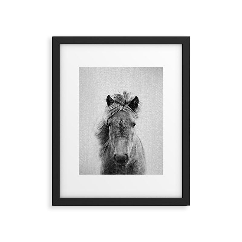 Wild Horse - Black & White Framed Art Print Gallery Image 4