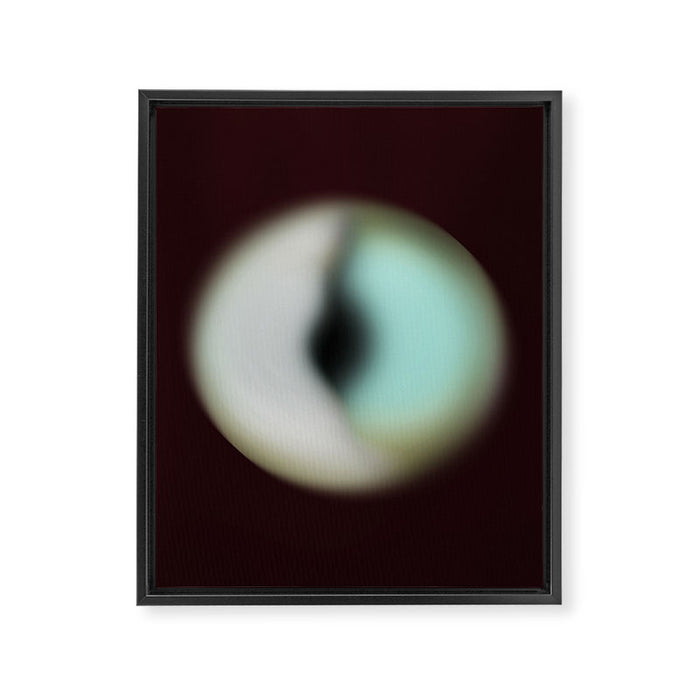 Spheres II Framed Canvas Print Gallery Image 1