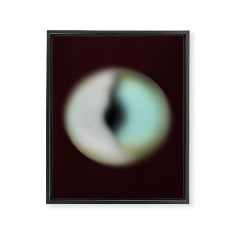 Spheres II Framed Canvas Print Gallery Image 6