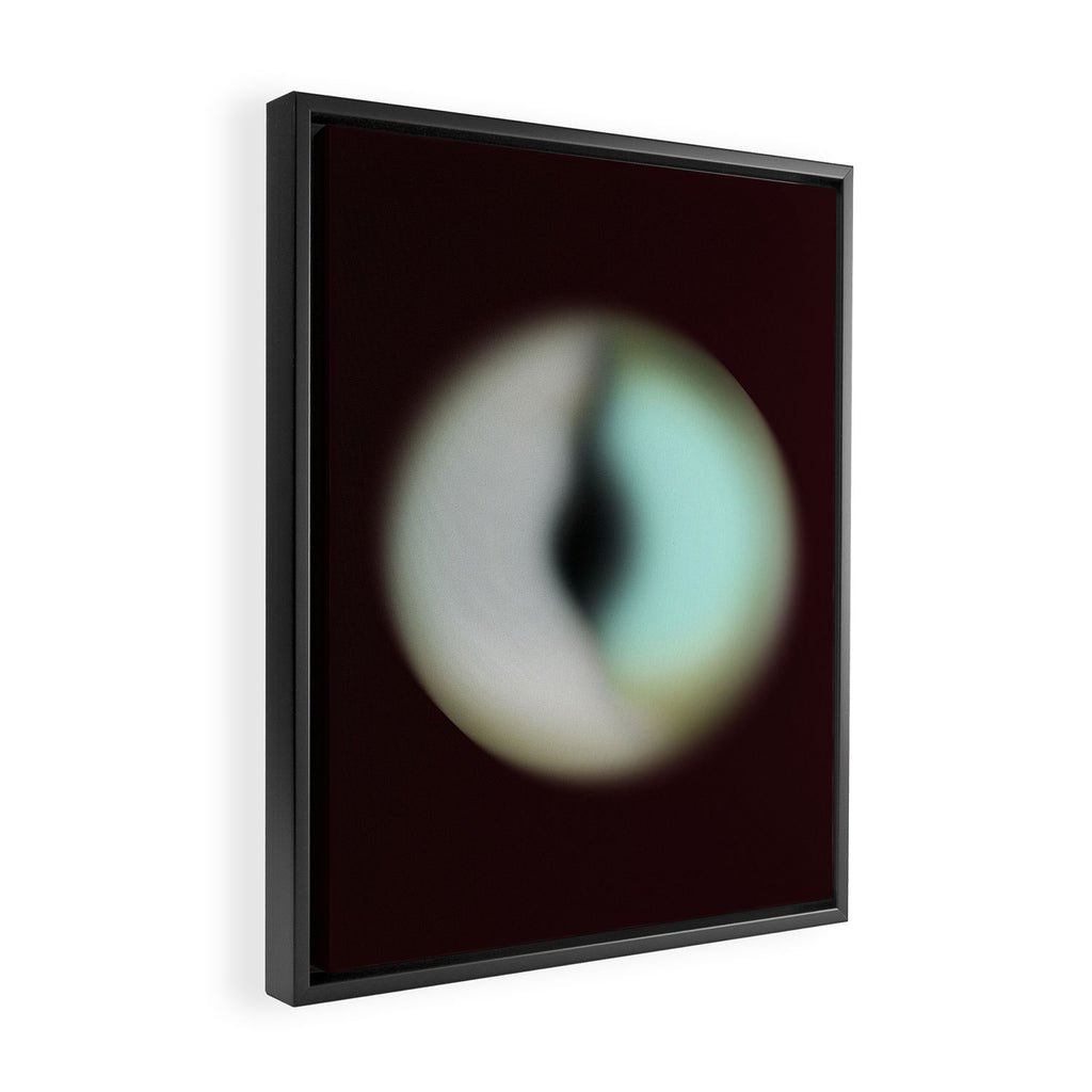Spheres II Framed Canvas Print Gallery Image 2