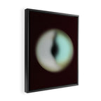 Spheres II Framed Canvas Print Gallery Image 2