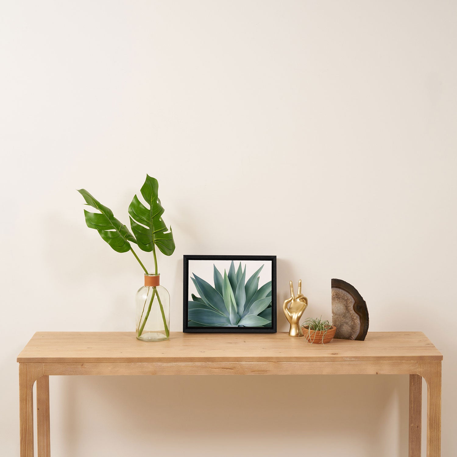 Agave blanco Framed Canvas Print Gallery Image 4