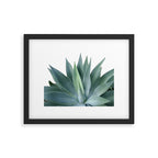 Agave blanco Framed Art Print Gallery Image 4