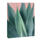 Agave crown Canvas Print Gallery Image 6