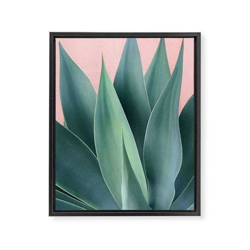 Agave crown Framed Canvas Print Gallery Image 6
