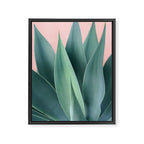 Agave crown Framed Canvas Print Gallery Image 6