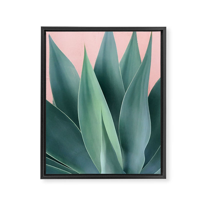 Agave crown Framed Canvas Print Gallery Image 1
