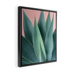 Agave crown Framed Canvas Print Gallery Image 2