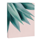 Agave flare Canvas Print Gallery Image 8