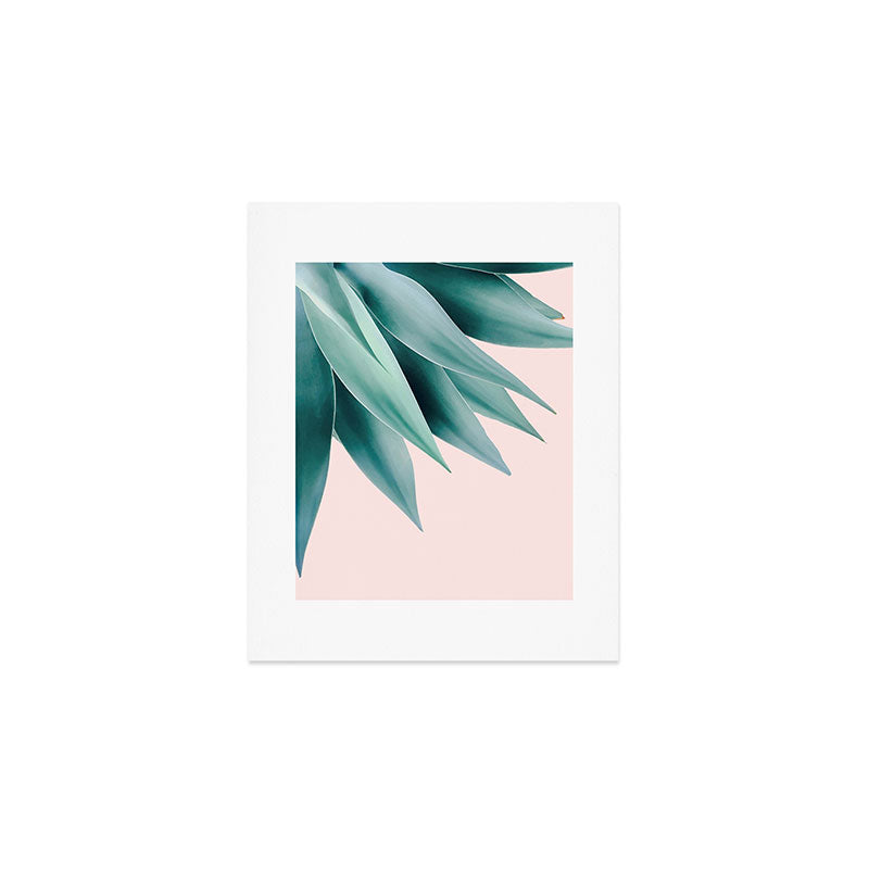 Agave flare Art Print Gallery Image 1