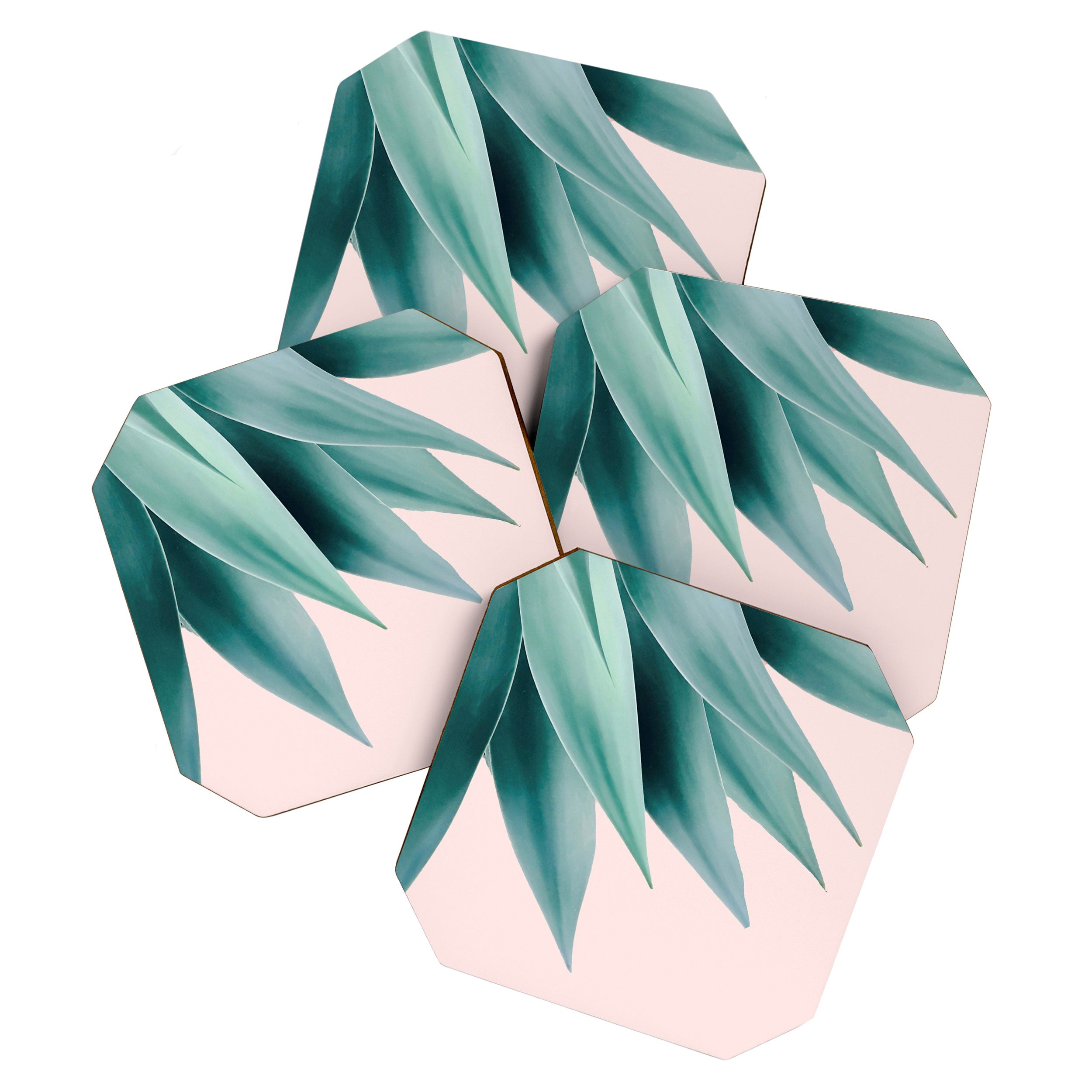 Agave flare Coaster Gallery Image 1