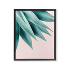 Agave flare Framed Canvas Print Gallery Image 8