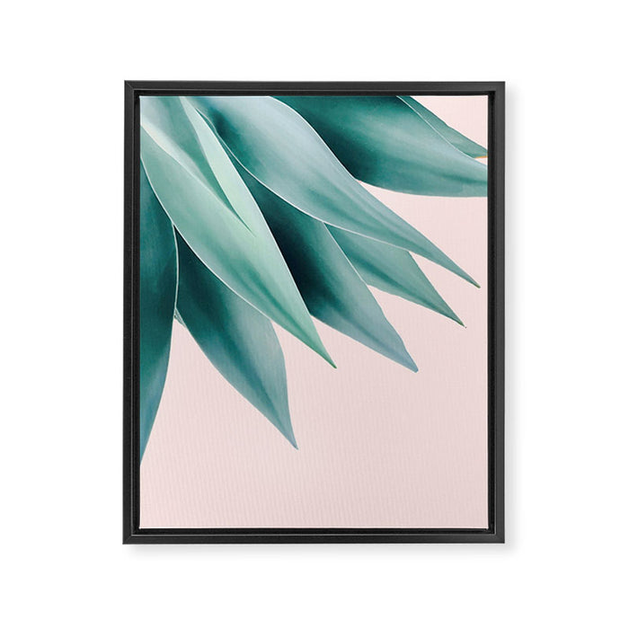 Agave flare Framed Canvas Print Gallery Image 1