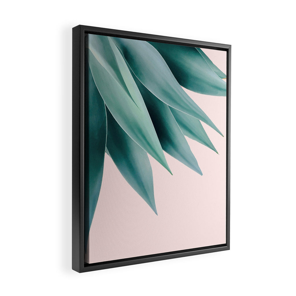 Agave flare Framed Canvas Print Gallery Image 2