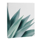 Agave flare II Canvas Print Gallery Image 8
