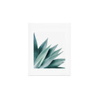 Agave flare II Art Print Gallery Image 1