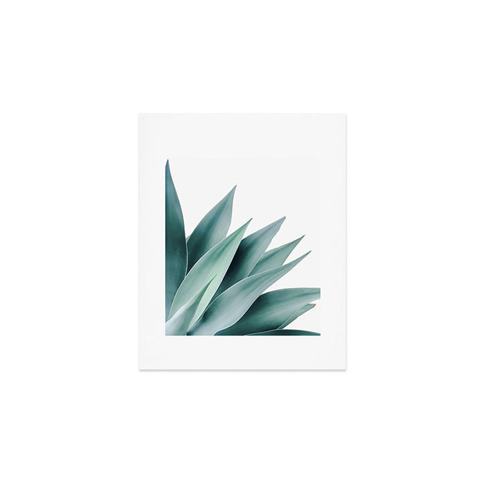 Agave flare II Art Print Gallery Image 1