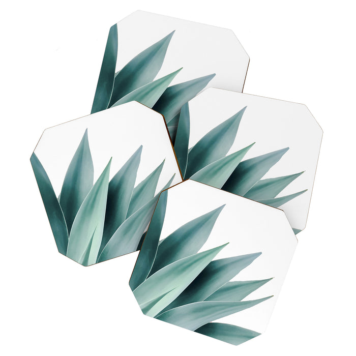Agave flare II Coaster Gallery Image 1