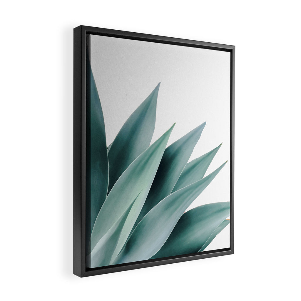 Agave flare II Framed Canvas Print Gallery Image 2