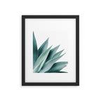 Agave flare II Framed Art Print Gallery Image 6