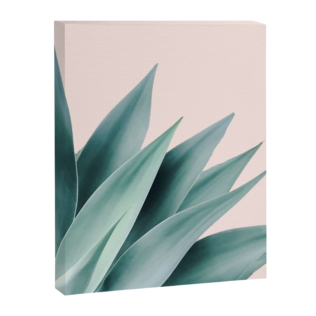 Agave flare II - peach Canvas Print Gallery Image 8