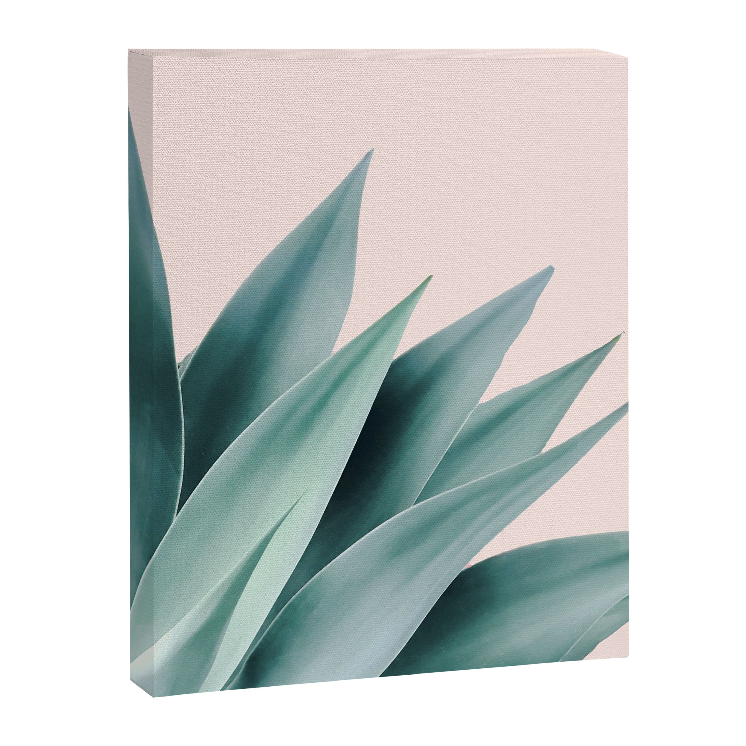 Agave flare II - peach Canvas Print Gallery Image 8