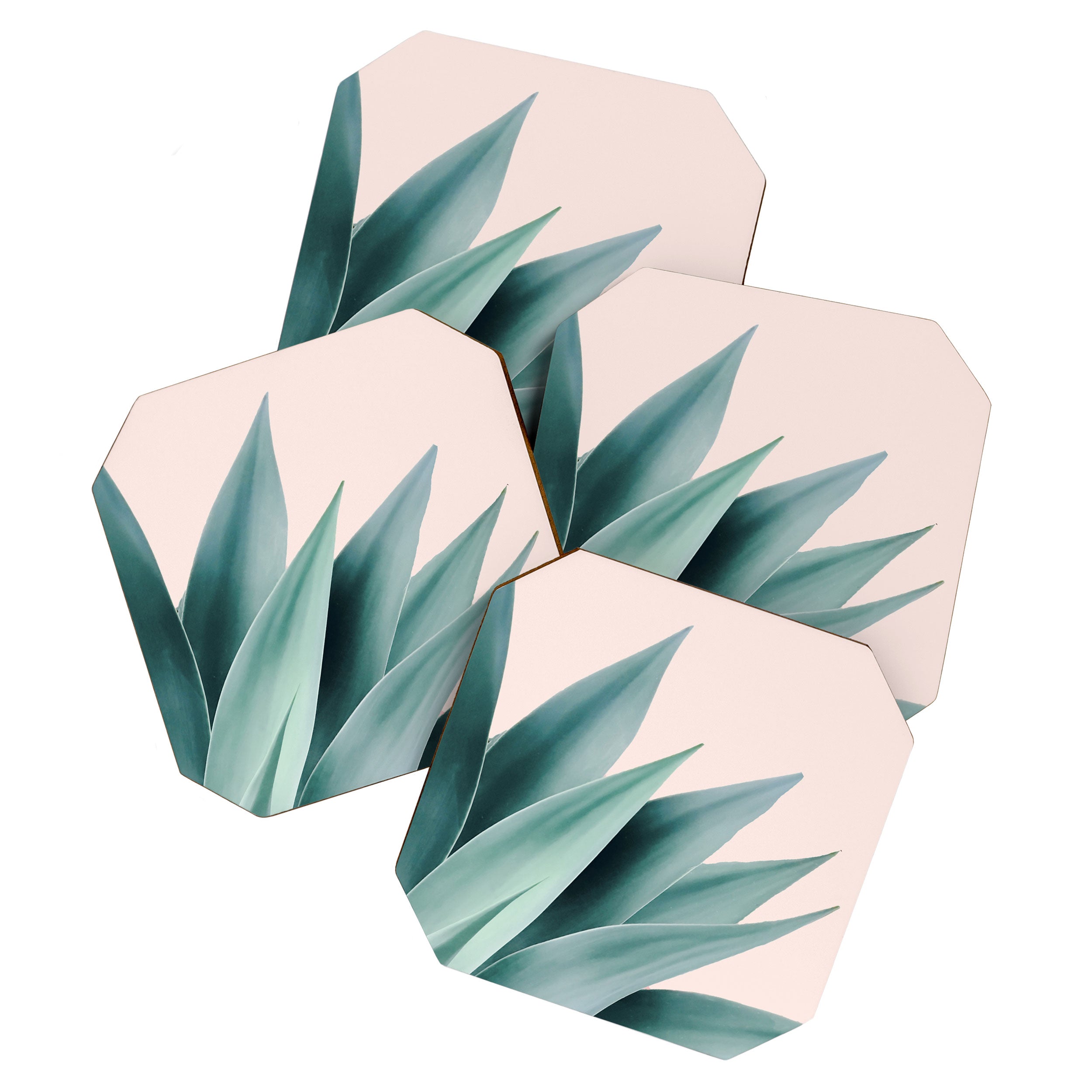 Agave flare II - peach Coaster Gallery Image 1
