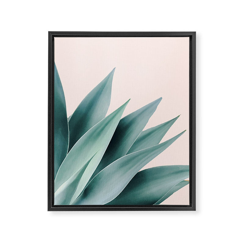Agave flare II - peach Framed Canvas Print Gallery Image 8