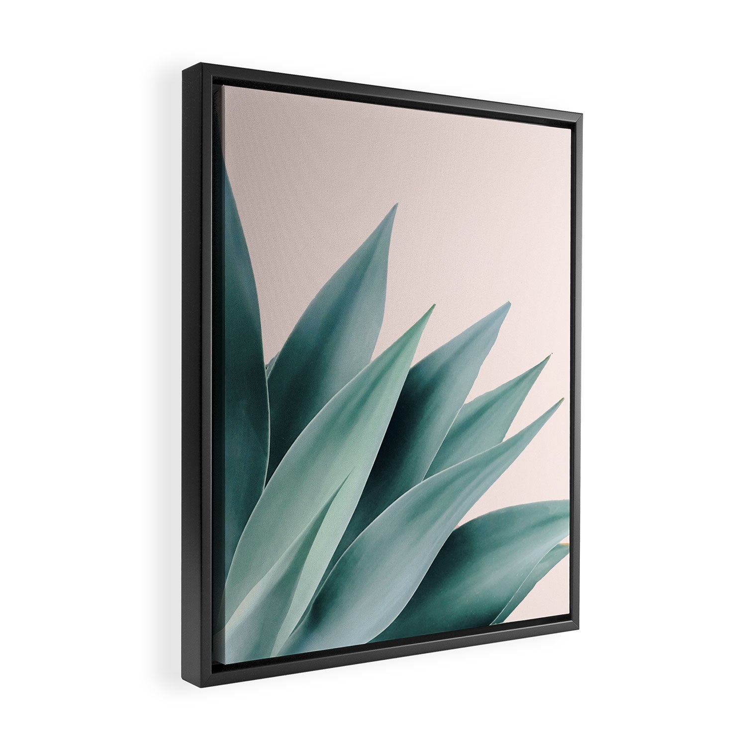 Agave flare II - peach Framed Canvas Print Gallery Image 2