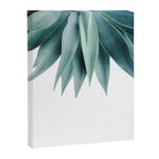 Agave fringe Canvas Print Gallery Image 6