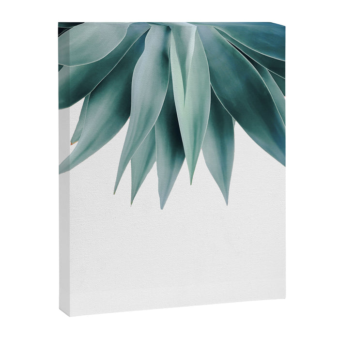 Agave fringe Canvas Print Gallery Image 1