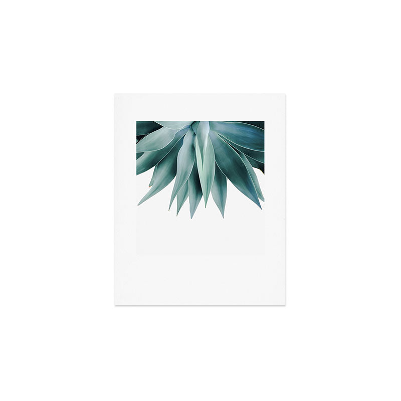Agave fringe Art Print Gallery Image 1