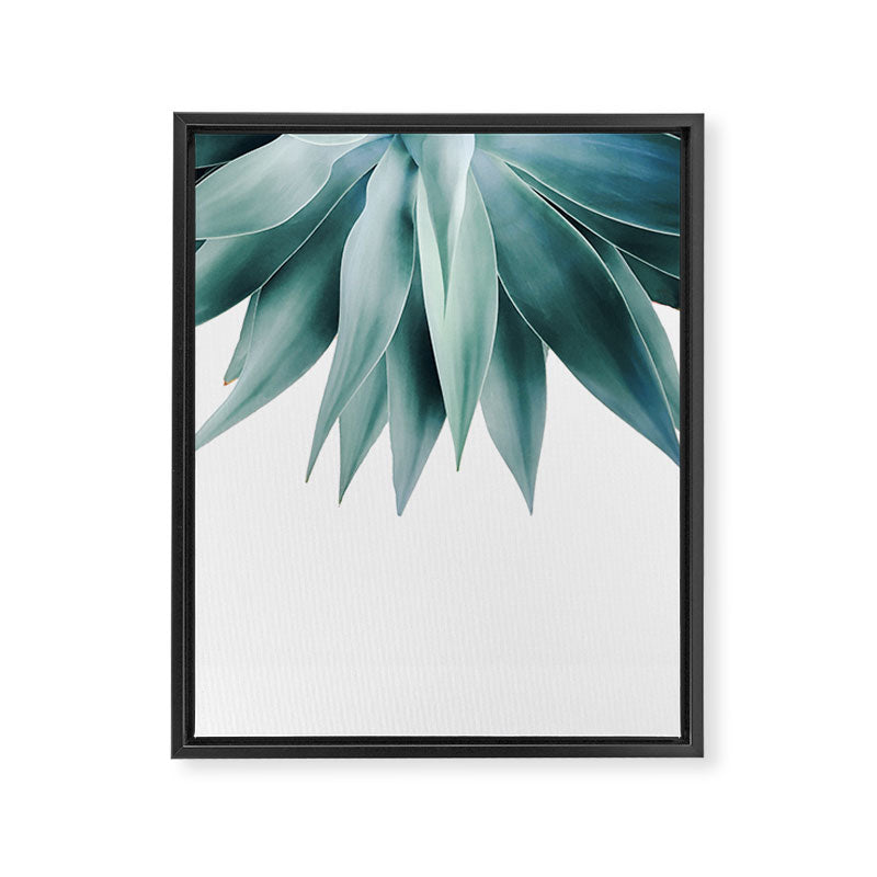 Agave fringe Framed Canvas Print Gallery Image 6